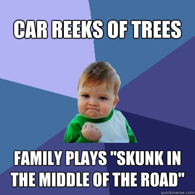 Car reeks of trees Family plays 