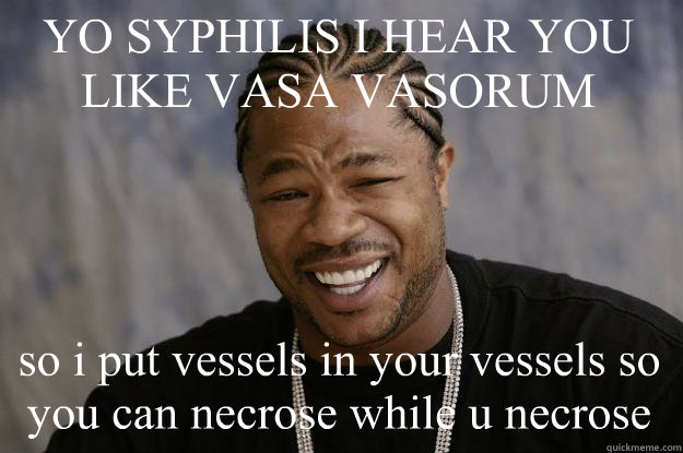 YO SYPHILIS I HEAR YOU LIKE VASA VASORUM so i put vessels in your vessels so you can necrose while u necrose - YO SYPHILIS I HEAR YOU LIKE VASA VASORUM so i put vessels in your vessels so you can necrose while u necrose  Xzibit meme