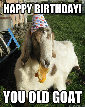 Happy Birthday! You old goat - Happy Birthday! You old goat  Dam Goats Happy Birthday