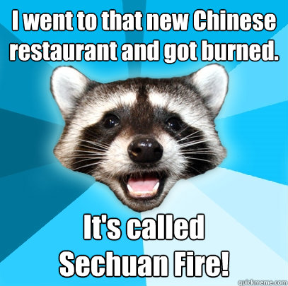I went to that new Chinese restaurant and got burned. It's called
Sechuan Fire!  Lame Pun Coon