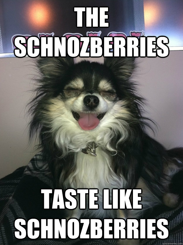 The schnozberries Taste like schnozberries - The schnozberries Taste like schnozberries  Chill Dog
