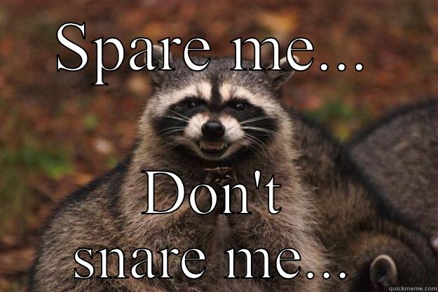 SPARE ME... DON'T SNARE ME... Evil Plotting Raccoon
