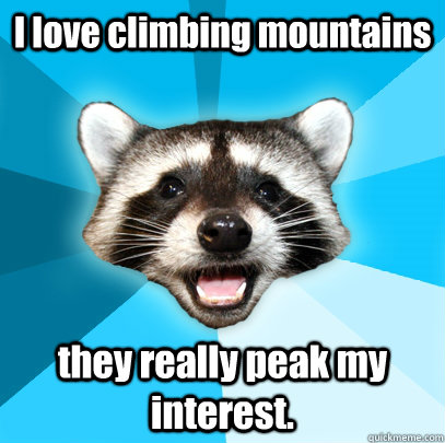 I love climbing mountains they really peak my interest. - I love climbing mountains they really peak my interest.  Lame Pun Coon