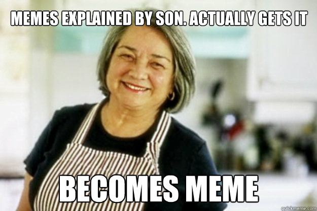 memes explained by son. actually gets it becomes meme - memes explained by son. actually gets it becomes meme  Redditors Mom