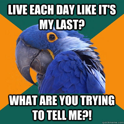 Live each day like it's my last? what are you trying to tell me?!  Paranoid Parrot