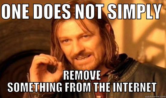 ONE DOES NOT SIMPLY  REMOVE SOMETHING FROM THE INTERNET Boromir