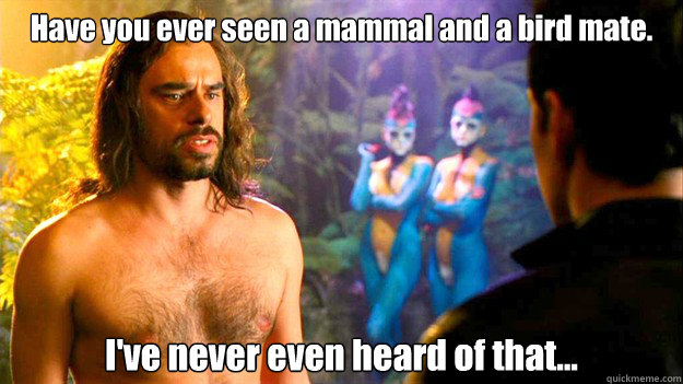 Have you ever seen a mammal and a bird mate. I've never even heard of that...  Kieran Vollard