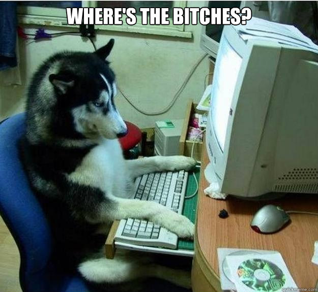 Where's the bitches?   Disapproving Dog