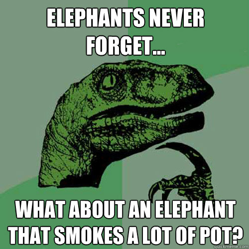 Elephants never forget... What about an elephant that smokes a lot of pot?  Philosoraptor