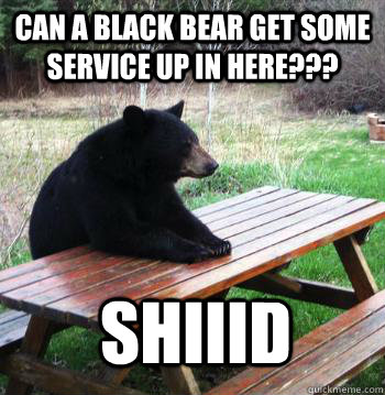 Can a black bear get some service up in here??? Shiiid - Can a black bear get some service up in here??? Shiiid  Bear  Picnic Table