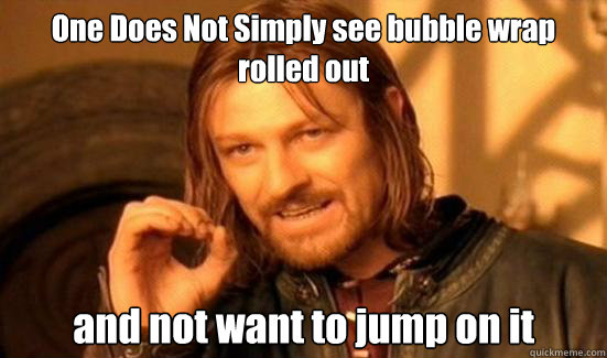 One Does Not Simply see bubble wrap rolled out and not want to jump on it  Boromir