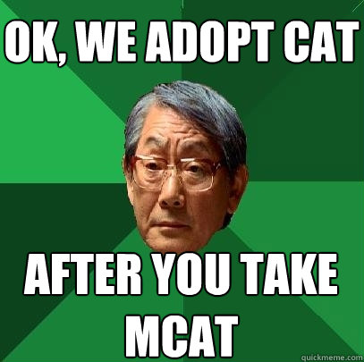 ok, we adopt cat after you take mcat  High Expectations Asian Father