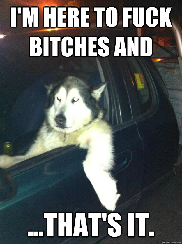 I'M HERE TO FUCK BITCHES AND ...THAT'S IT.  Mean Dog