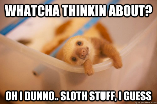 Whatcha thinkin about? Oh I dunno.. sloth stuff, I guess - Whatcha thinkin about? Oh I dunno.. sloth stuff, I guess  Sloth thoughts