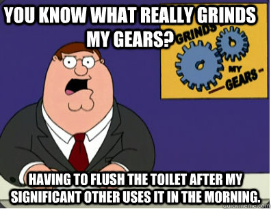 you know what really grinds my gears? having to flush the toilet after my significant other uses it in the morning.  Grinds my gears