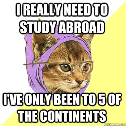 I really need to study abroad I've only been to 5 of the continents  Hipster Kitty