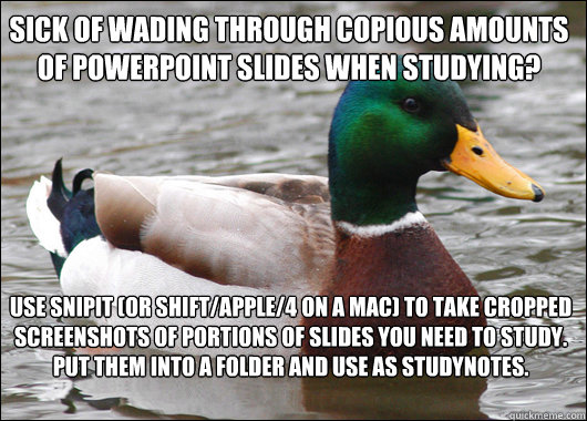 Sick of wading through copious amounts of powerpoint slides when studying?  Use SnipIt (or shift/apple/4 on a mac) to take cropped screenshots of portions of slides you need to study. Put them into a folder and use as studynotes.   Actual Advice Mallard