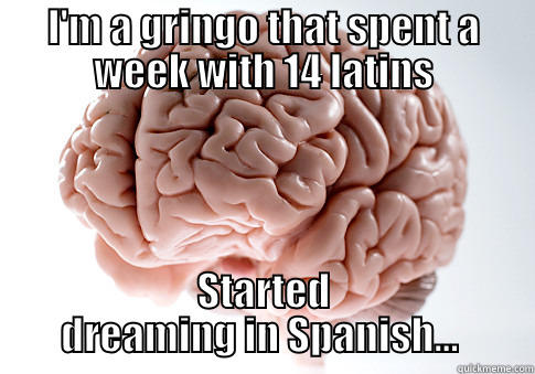 I'M A GRINGO THAT SPENT A WEEK WITH 14 LATINS STARTED DREAMING IN SPANISH...  Scumbag Brain