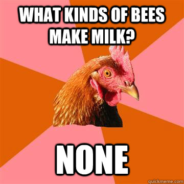 What kinds of bees make milk? none  Anti-Joke Chicken