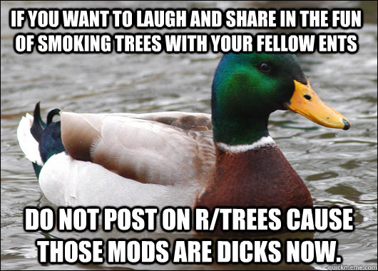 If you want to laugh and share in the fun of smoking trees with your fellow ents do not post on r/trees cause those mods are dicks now.   Actual Advice Mallard