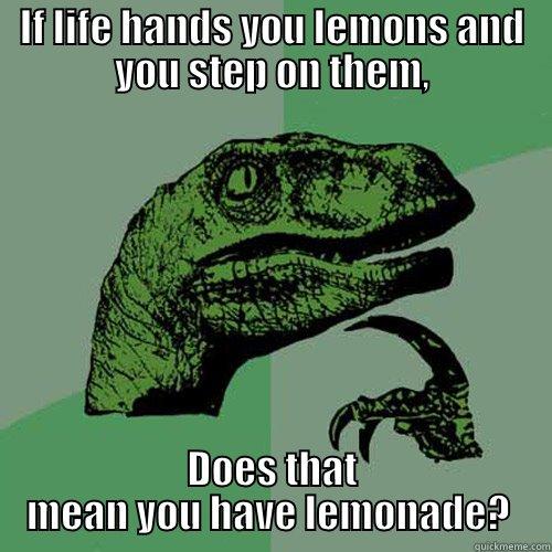IF LIFE HANDS YOU LEMONS AND YOU STEP ON THEM, DOES THAT MEAN YOU HAVE LEMONADE?  Philosoraptor