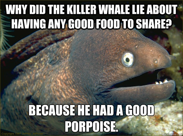 why did the killer whale lie about having any good food to share? because he had a good porpoise.  Bad Joke Eel