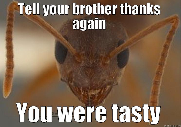 TELL YOUR BROTHER THANKS AGAIN YOU WERE TASTY Misc