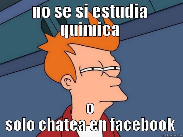 NO SE SI ESTUDIA QUIMICA O SOLO CHATEA EN FACEBOOK Futurama Fry