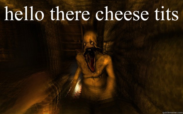hello there cheese tits   