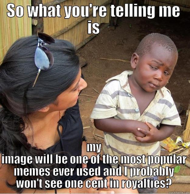SO WHAT YOU'RE TELLING ME IS MY IMAGE WILL BE ONE OF THE MOST POPULAR MEMES EVER USED AND I PROBABLY WON'T SEE ONE CENT IN ROYALTIES? Skeptical Third World Kid