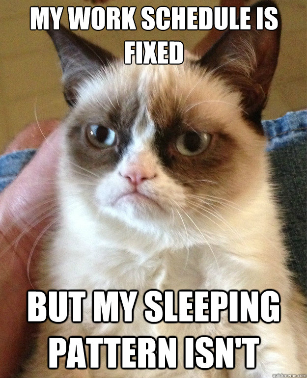 My work schedule is fixed
 but my sleeping pattern isn't  Grumpy Cat