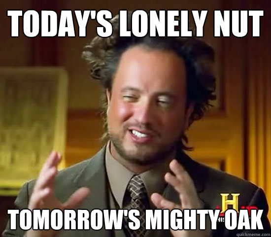 today's lonely nut tomorrow's mighty oak - today's lonely nut tomorrow's mighty oak  Ancient Aliens