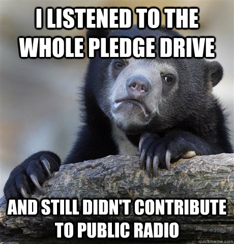 I listened to the whole pledge drive and still didn't contribute to public radio  Confession Bear