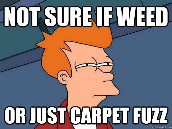 not sure if weed or just carpet fuzz  Futurama Fry