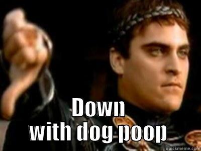  DOWN WITH DOG POOP Downvoting Roman