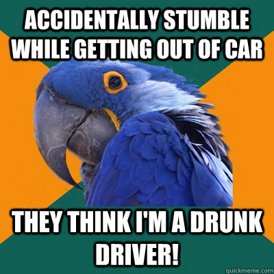 Accidentally stumble while getting out of car They think I'm a drunk driver!  Paranoid Parrot