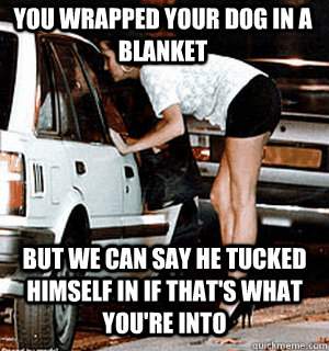 You wrapped your dog in a blanket But we can say he tucked himself in if that's what you're into  Karma Whore