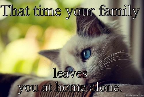 THAT TIME YOUR FAMILY  LEAVES YOU AT HOME ALONE. First World Problems Cat
