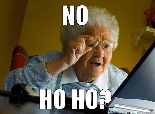 NO HO HO? Grandma finds the Internet