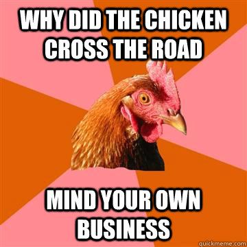 Why did the chicken cross the road mind your own business  Anti-Joke Chicken