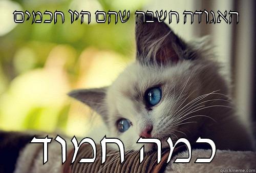 האגודה חשבה שהם היו חכמים כמה חמוד First World Problems Cat
