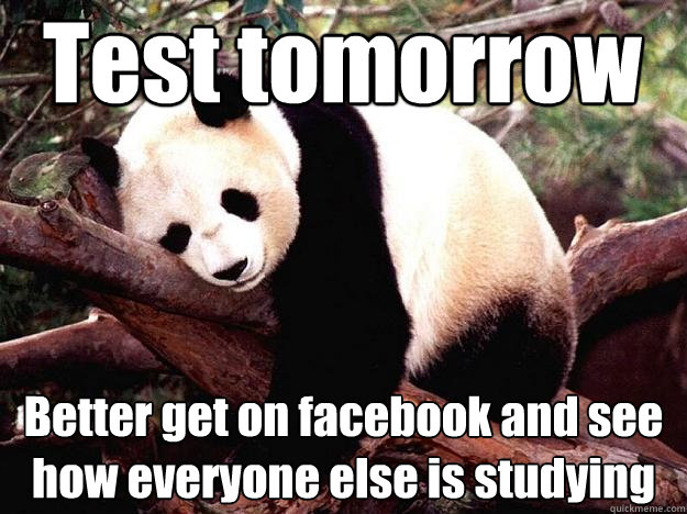 Test tomorrow Better get on facebook and see how everyone else is studying  Procrastination Panda