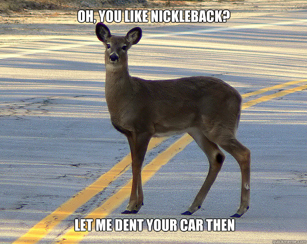oh, You like nickleback? let me dent your car then - oh, You like nickleback? let me dent your car then  scumbag deer