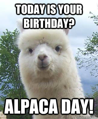 Today is your birthday? Alpaca day!  