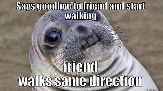 SAYS GOODBYE TO FRIEND AND START WALKING FRIEND WALKS SAME DIRECTION Misc