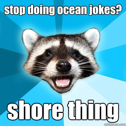 stop doing ocean jokes? shore thing  Lame Pun Coon
