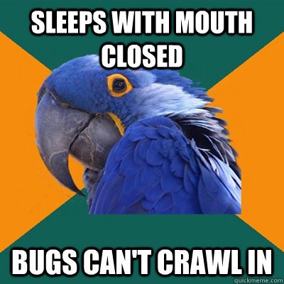 sleeps with mouth closed bugs can't crawl in  Paranoid Parrot