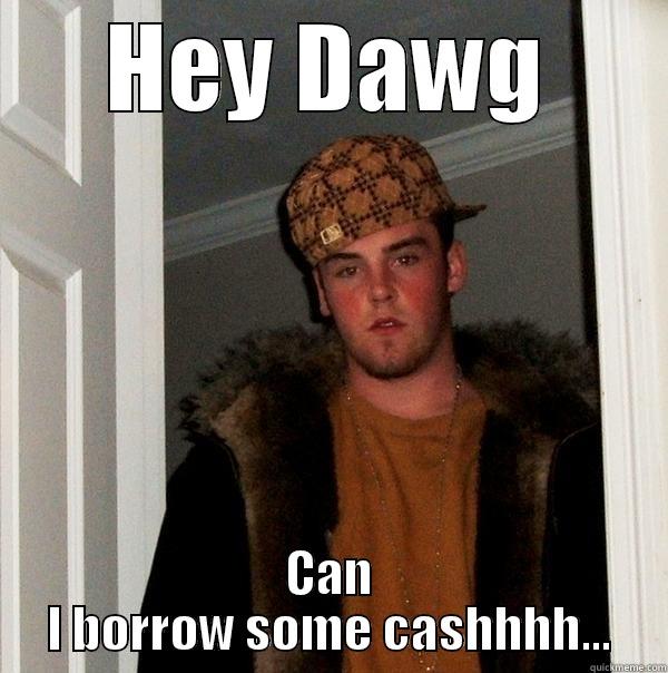 HEY DAWG CAN I BORROW SOME CASHHHH... Scumbag Steve