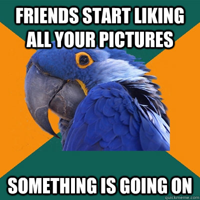 Friends start liking all your pictures Something is going on  Paranoid Parrot