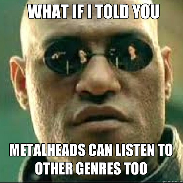 What if i told you metalheads can listen to other genres too   